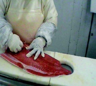 industria salmon (25) ALIMENTACION COMIDA